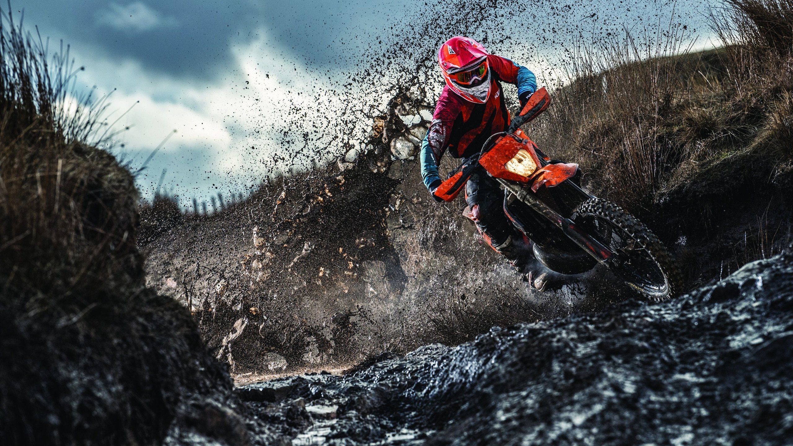 掘金年轻天才闪耀，未来之星崭露头角，掘金出场